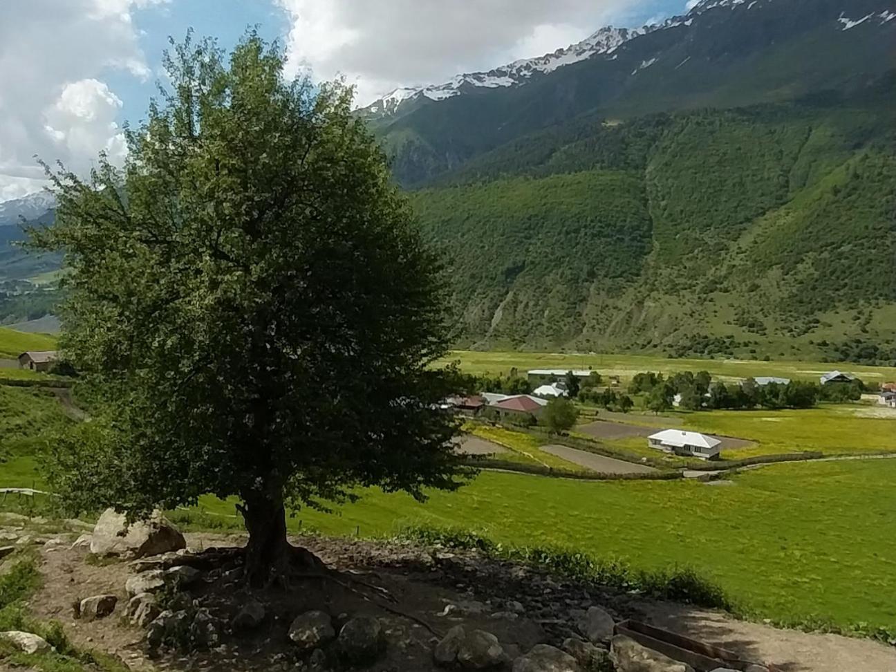 Guesthouse Leno Tsaldashi Екстер'єр фото